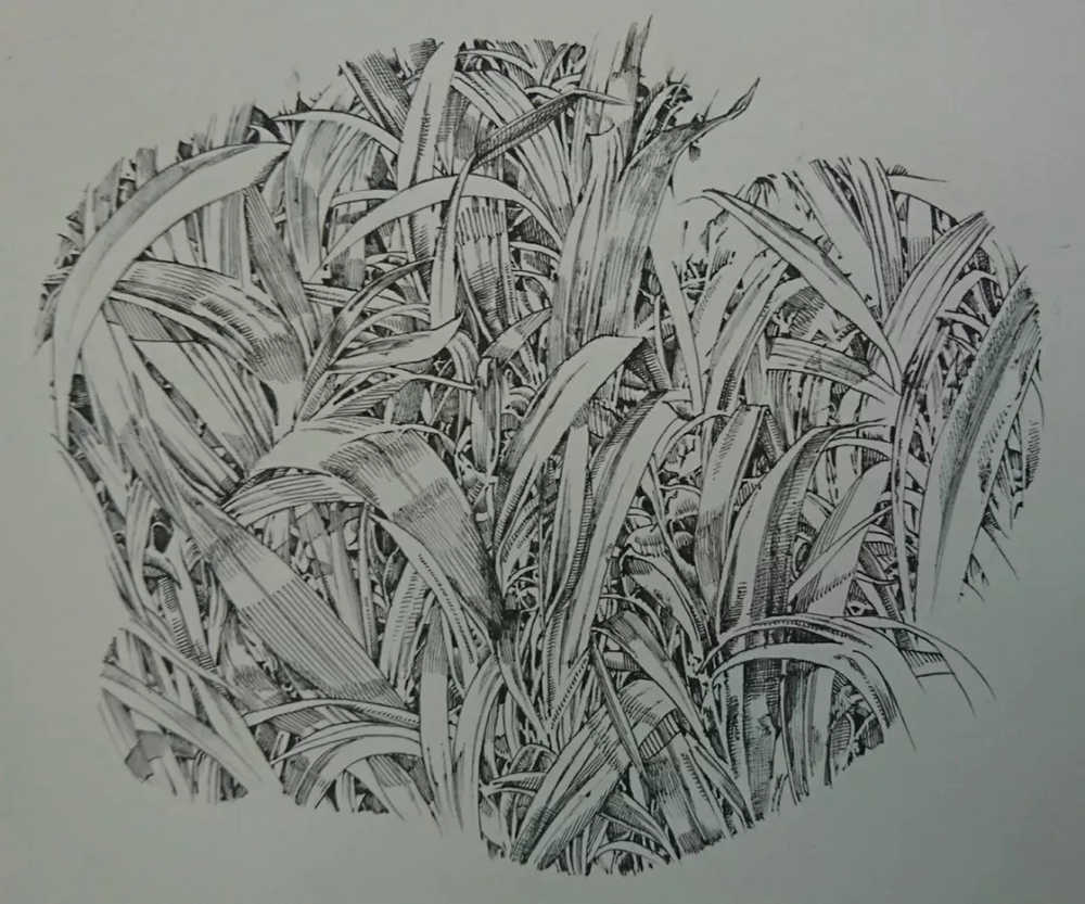 廣州畫室排名前十畫室整理超簡單繪畫技巧,作者是認真的么,08