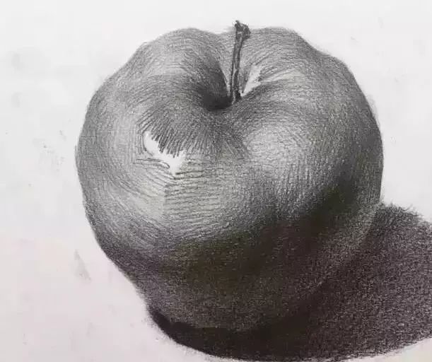 廣州美術高考班告訴你吃透這7類素描靜物質感,聯考不用怕了,02