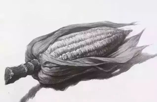 廣州美術高考班告訴你吃透這7類素描靜物質感,聯考不用怕了,11