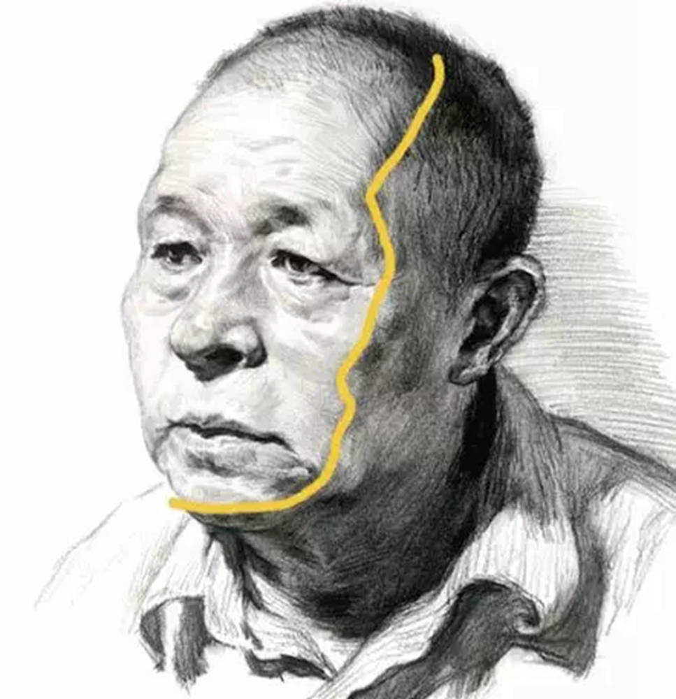 廣州畫室排名前三畫室教你素描初學入門怎樣畫明暗交界線,11