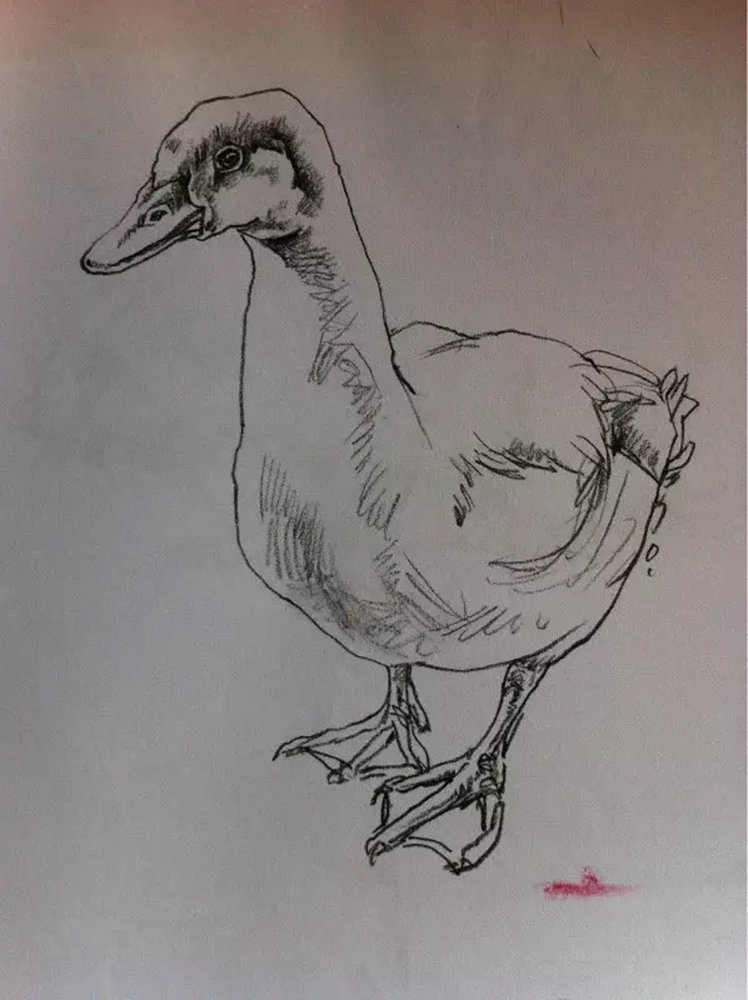 如果你正在學習線描速寫，廣州藝考畫室覺得這52幅作品正合適你,26