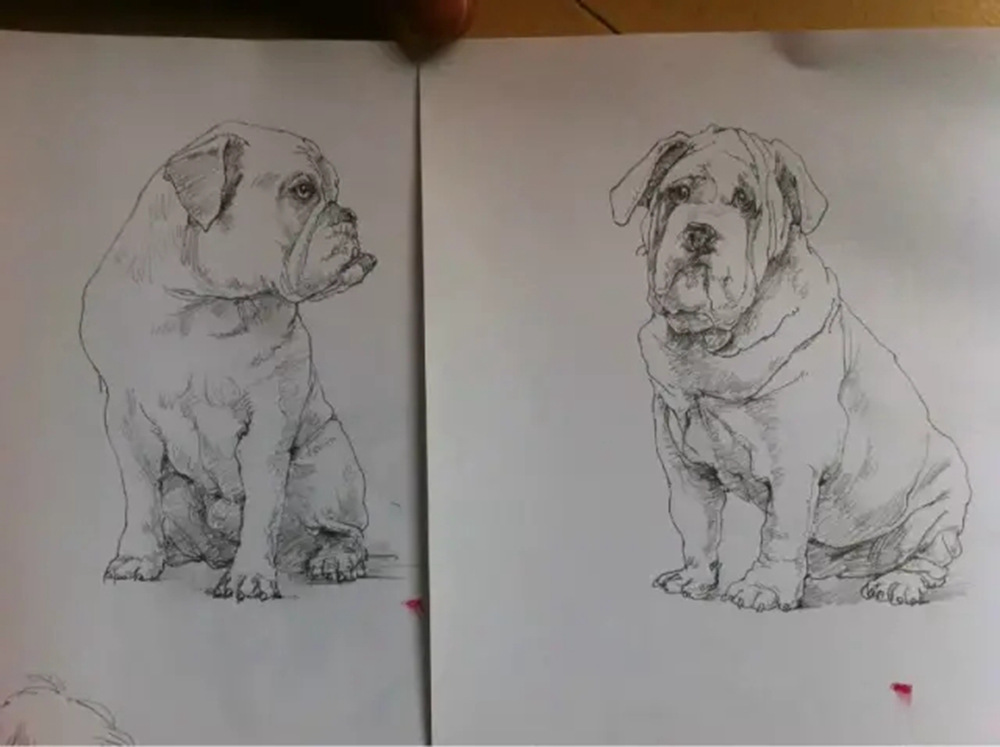 如果你正在學習線描速寫，廣州藝考畫室覺得這52幅作品正合適你,34