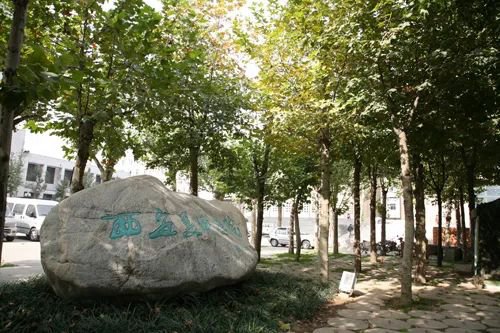 作為美術(shù)生,錯過什么都不能錯過九大美院各系教授的作品!圍墻畫室附圖75