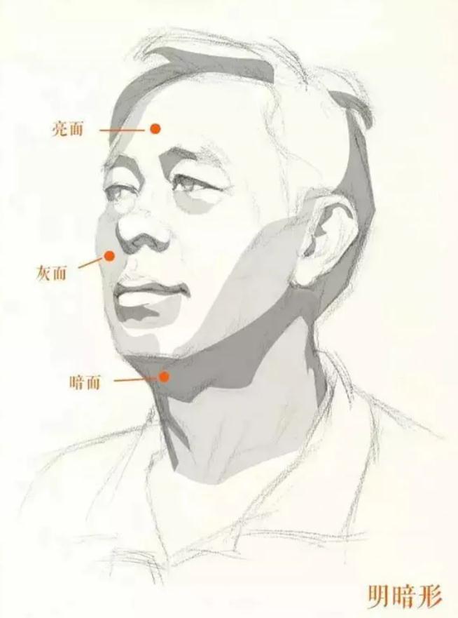 廣州排名前十畫室給你整理的干貨|教你畫一張高分素描頭像,05