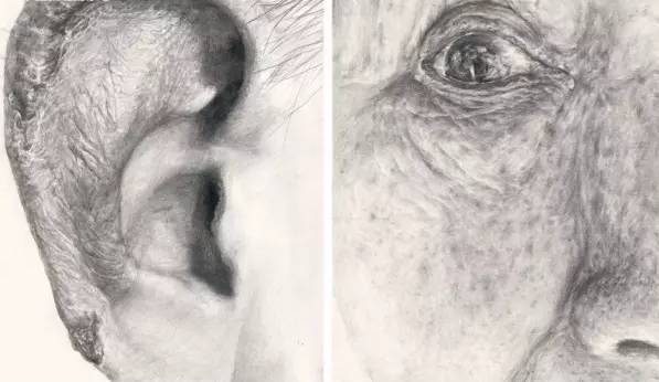 廣州前十畫室6招幫你搞定設計素描,03