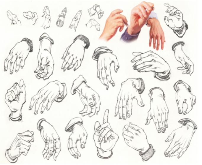 廣州十大畫室老師給你詳細解析速寫局部精講之手部比例、肌肉、特征,09
