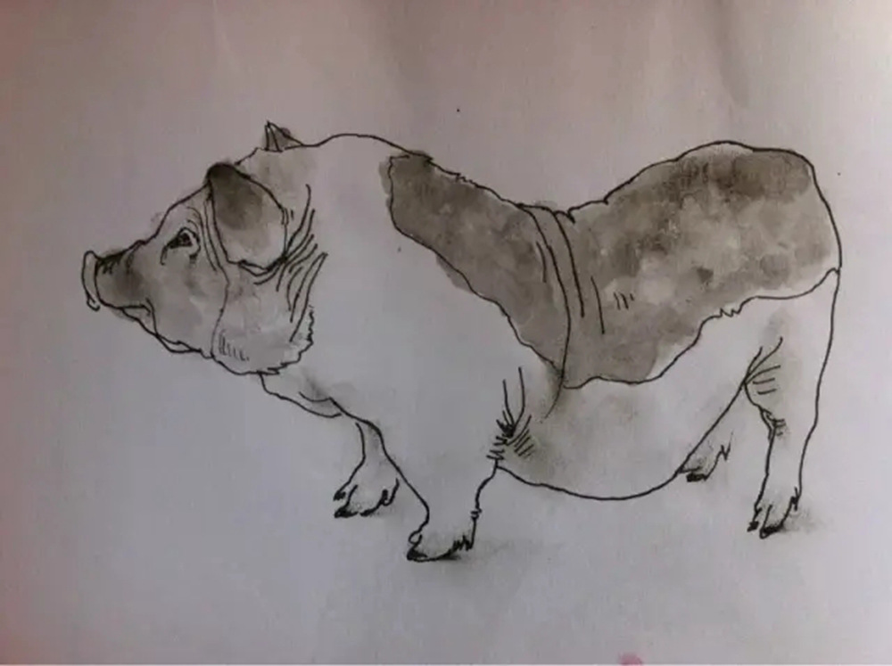 如果你正在學習線描速寫，廣州藝考畫室覺得這52幅作品正合適你,25