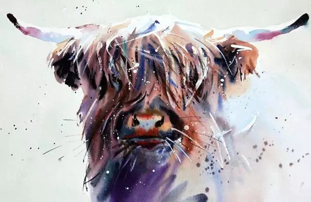 這樣的動物水彩畫廣州排名前十畫室覺得不能忍住笑,14