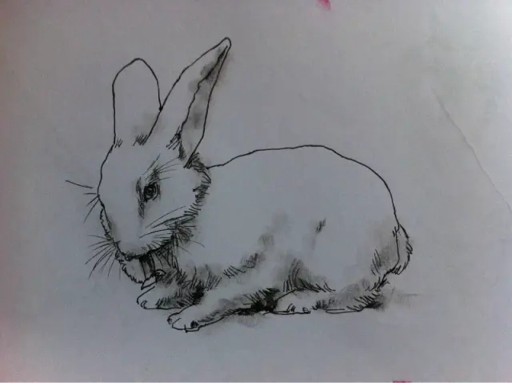 如果你正在學習線描速寫，廣州藝考畫室覺得這52幅作品正合適你,38