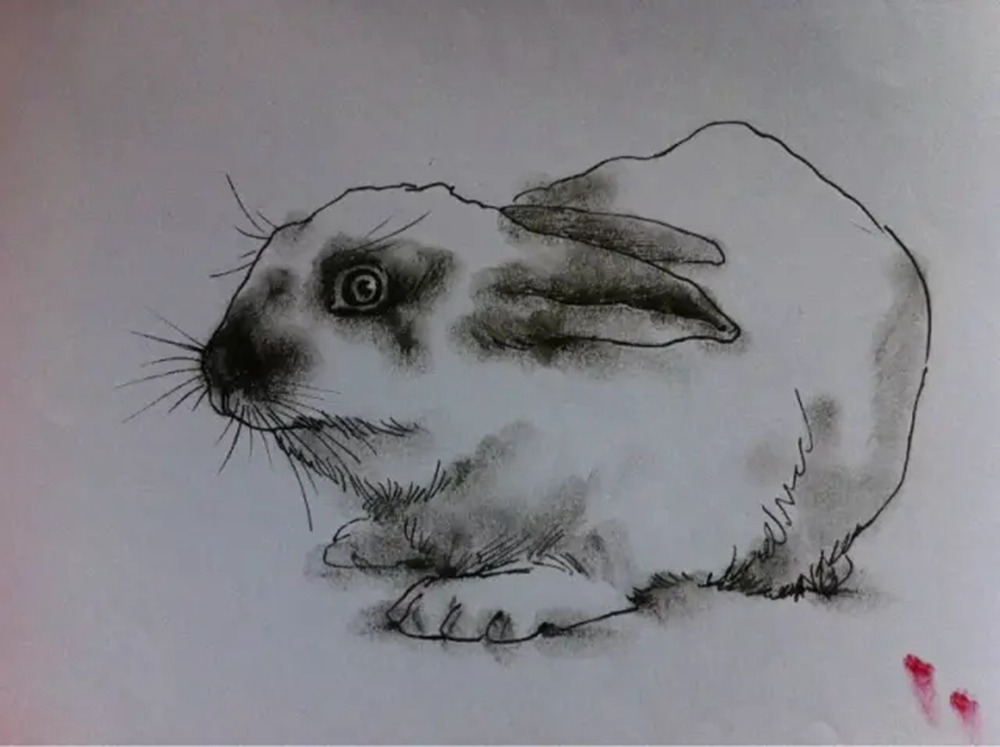 如果你正在學習線描速寫，廣州藝考畫室覺得這52幅作品正合適你,37