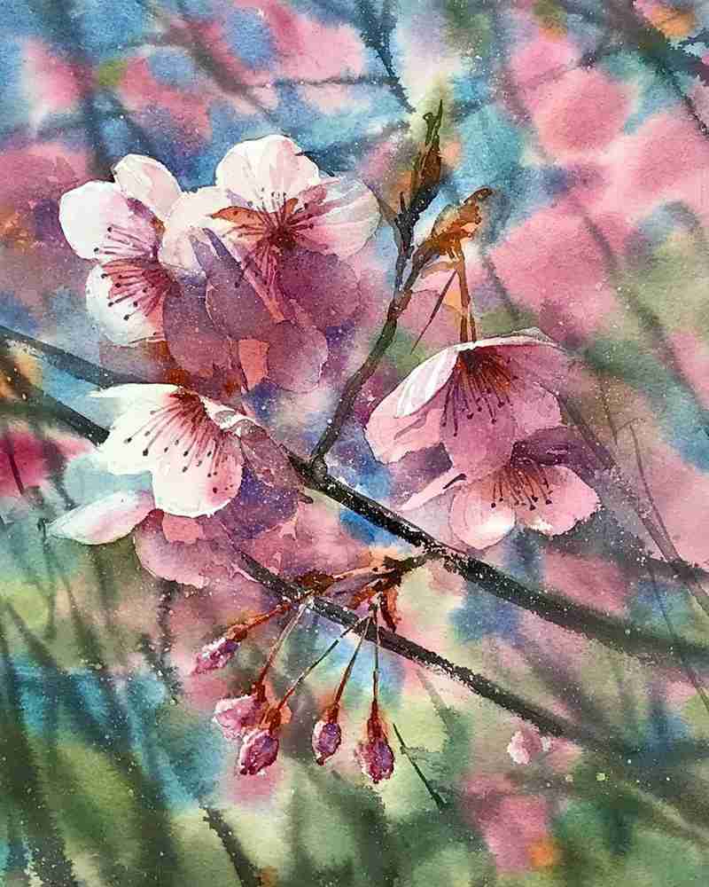 這些水彩作品用色用筆都是實力擔當,廣州十大畫室都在拿來臨摹,30