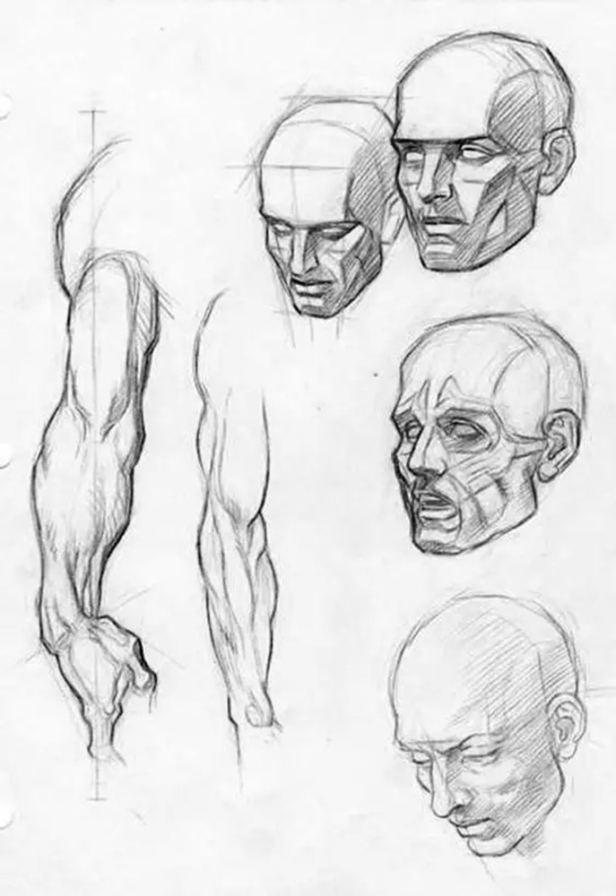 廣州畫室排名前十畫室給你一組適合零基礎臨摹的素描教程,44