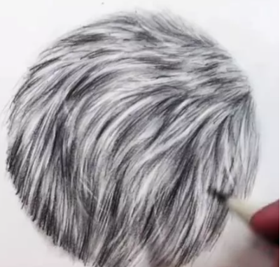 廣州畫室教你怎樣用素描表現毛絨質感,5步就搞定!