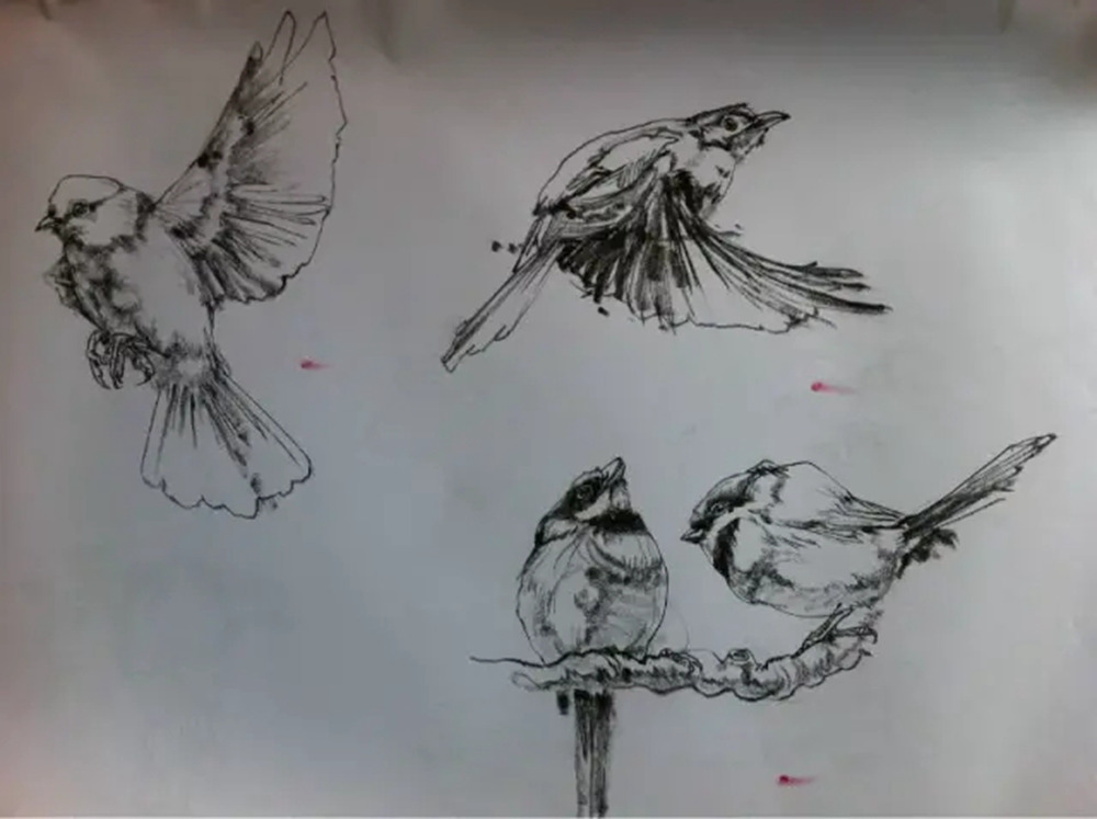 如果你正在學習線描速寫，廣州藝考畫室覺得這52幅作品正合適你,42