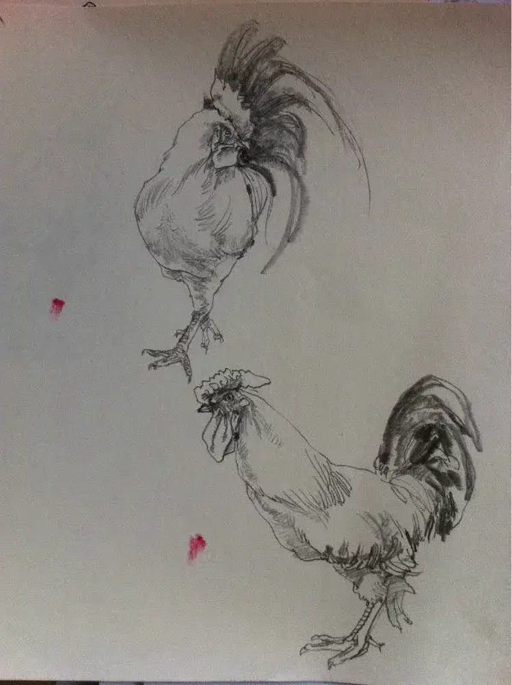 如果你正在學習線描速寫，廣州藝考畫室覺得這52幅作品正合適你,32