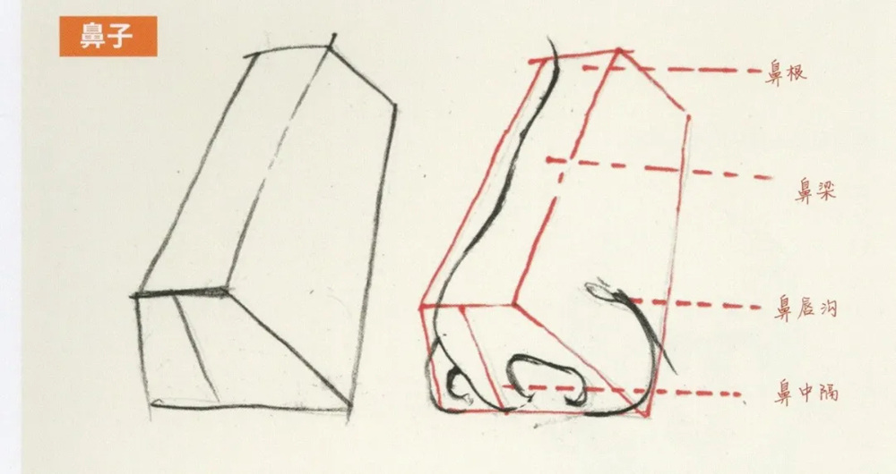 廣州前十畫室超強干貨丨速寫局部之眼耳鼻嘴的刻畫,09