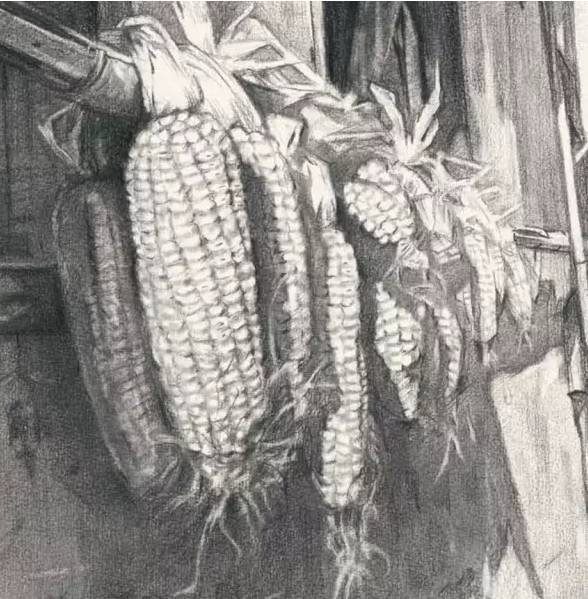 廣州前十畫室6招幫你搞定設計素描,22