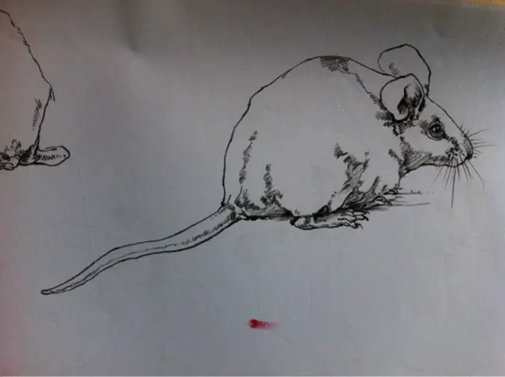 如果你正在學習線描速寫，廣州藝考畫室覺得這52幅作品正合適你,24