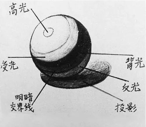 廣州十大畫室告訴你處理好素描明暗交界線還有這些方法,02