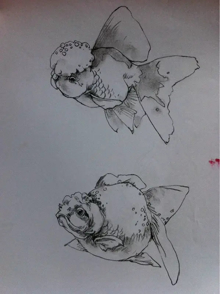 如果你正在學習線描速寫，廣州藝考畫室覺得這52幅作品正合適你,36