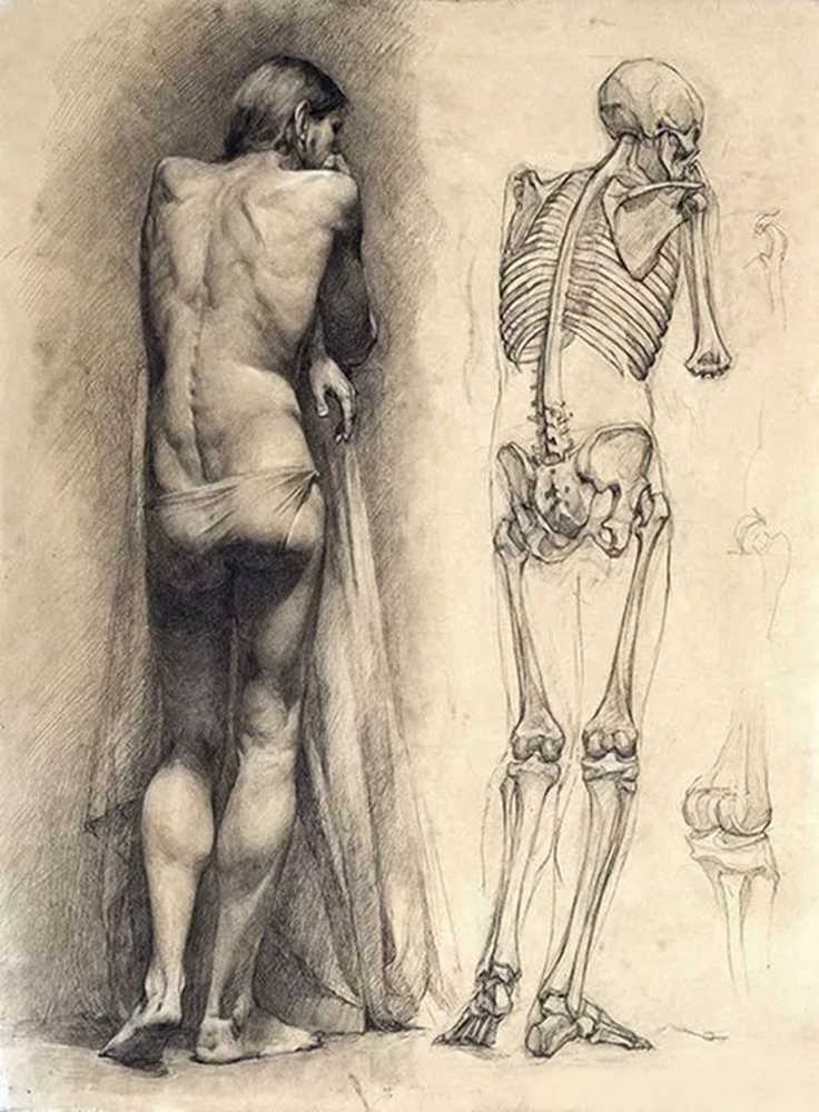 廣州十大畫室分享|50幅，每一幅都是大家公認的素描精品,32