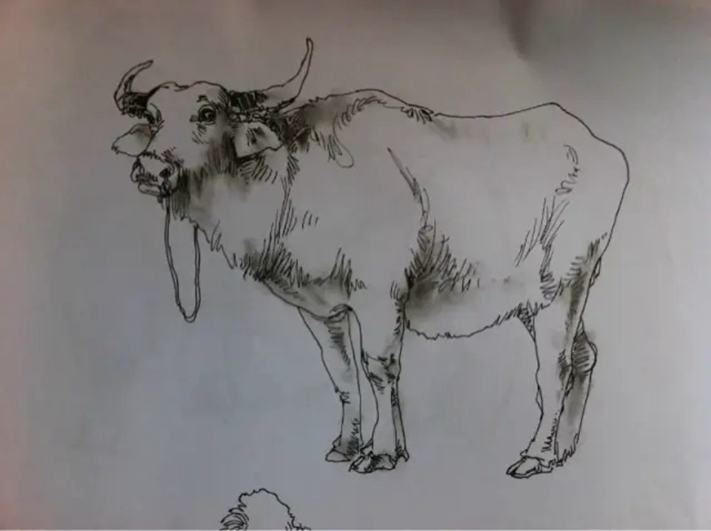 如果你正在學習線描速寫，廣州藝考畫室覺得這52幅作品正合適你,40