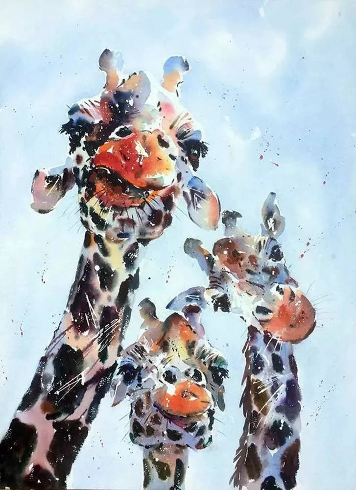 這樣的動物水彩畫廣州排名前十畫室覺得不能忍住笑,04