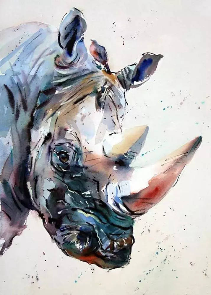 這樣的動物水彩畫廣州排名前十畫室覺得不能忍住笑,08