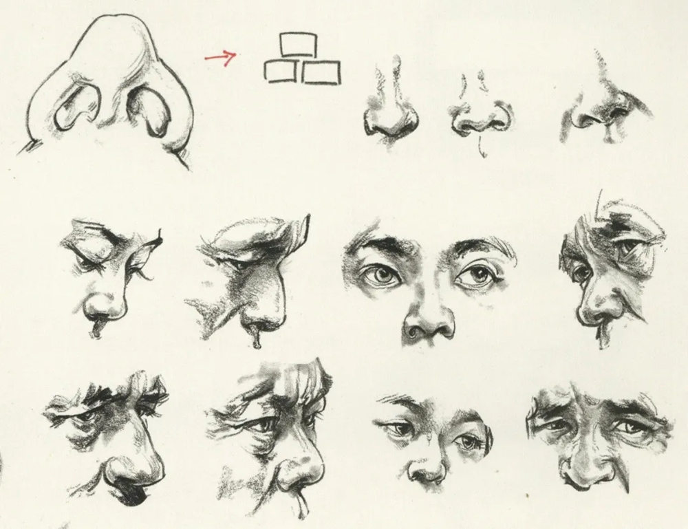 廣州前十畫室超強干貨丨速寫局部之眼耳鼻嘴的刻畫,10
