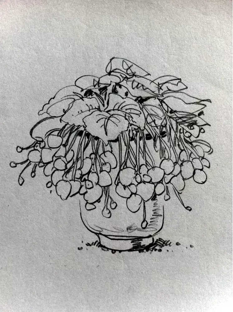 如果你正在學習線描速寫，廣州藝考畫室覺得這52幅作品正合適你,48