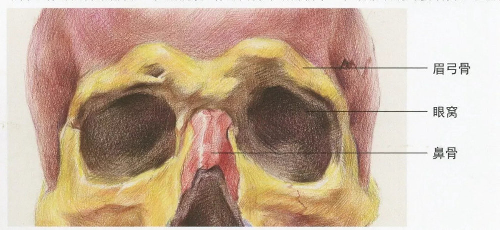 廣州藝考畫室,廣州素描畫室,廣州畫室素描培訓,02