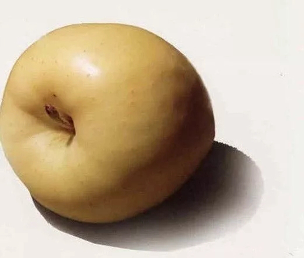 全網(wǎng)最全面的 “蘋果” 色彩靜物廣州藝考畫室教程！,03