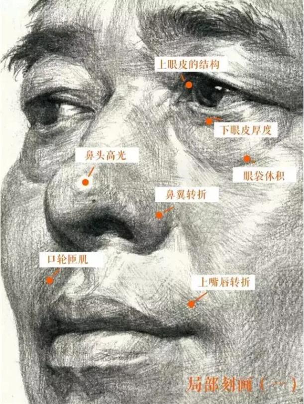 廣州排名前十畫室給你整理的干貨|教你畫一張高分素描頭像,09