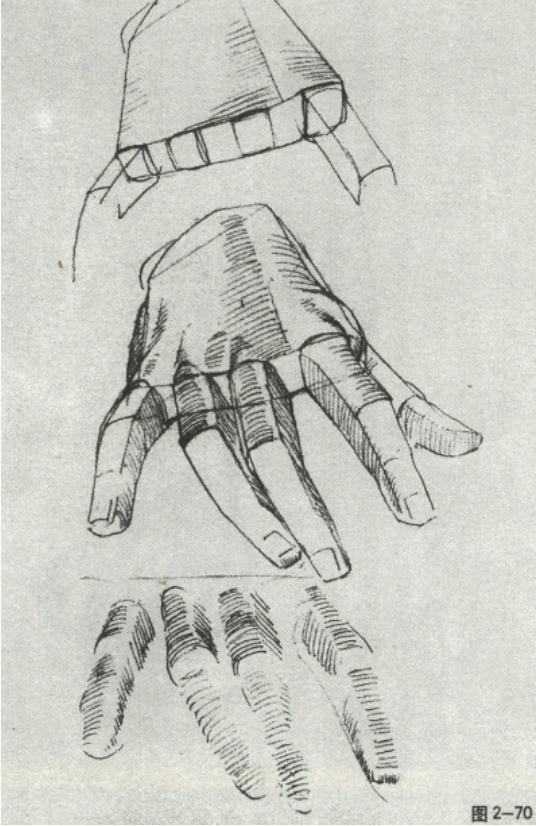 廣州十大畫室老師給你詳細解析速寫局部精講之手部比例、肌肉、特征,07