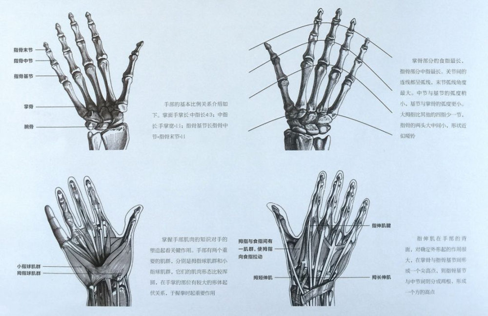 廣州畫室速寫知識,廣州速寫美術培訓,廣州速寫培訓技巧,07