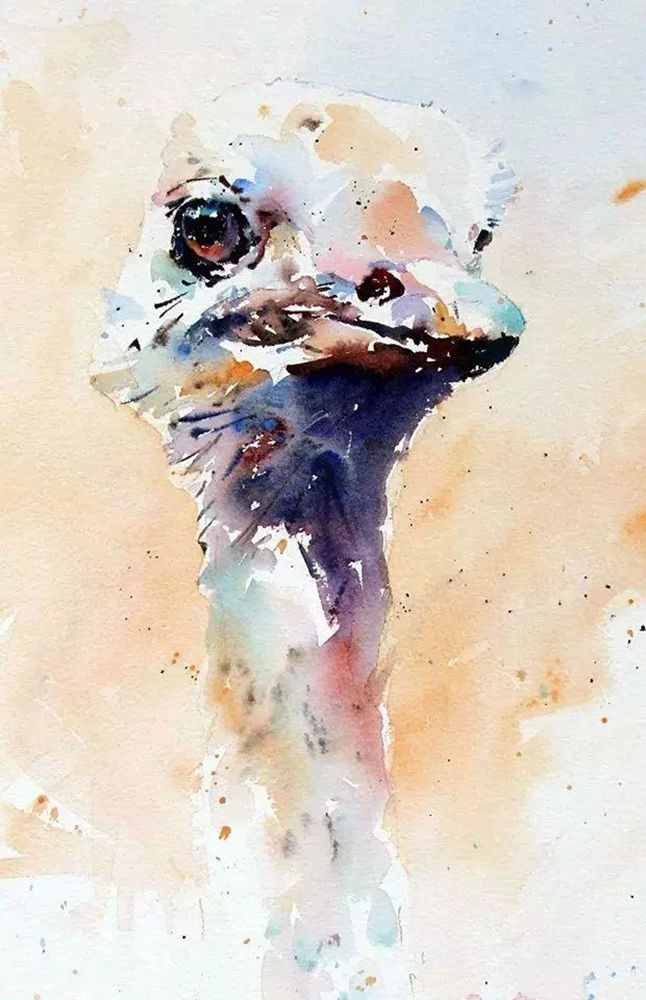 這樣的動物水彩畫廣州排名前十畫室覺得不能忍住笑,33