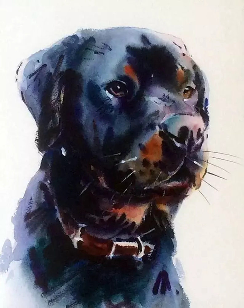 這樣的動物水彩畫廣州排名前十畫室覺得不能忍住笑,10