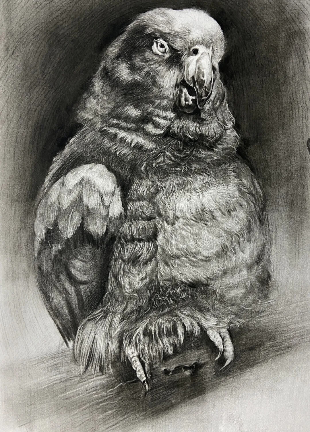 廣州畫室寒假班