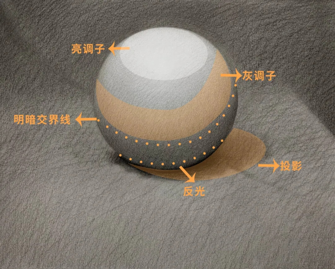 素描靜物缺少立體感？黑白灰關(guān)系一定要處理好2