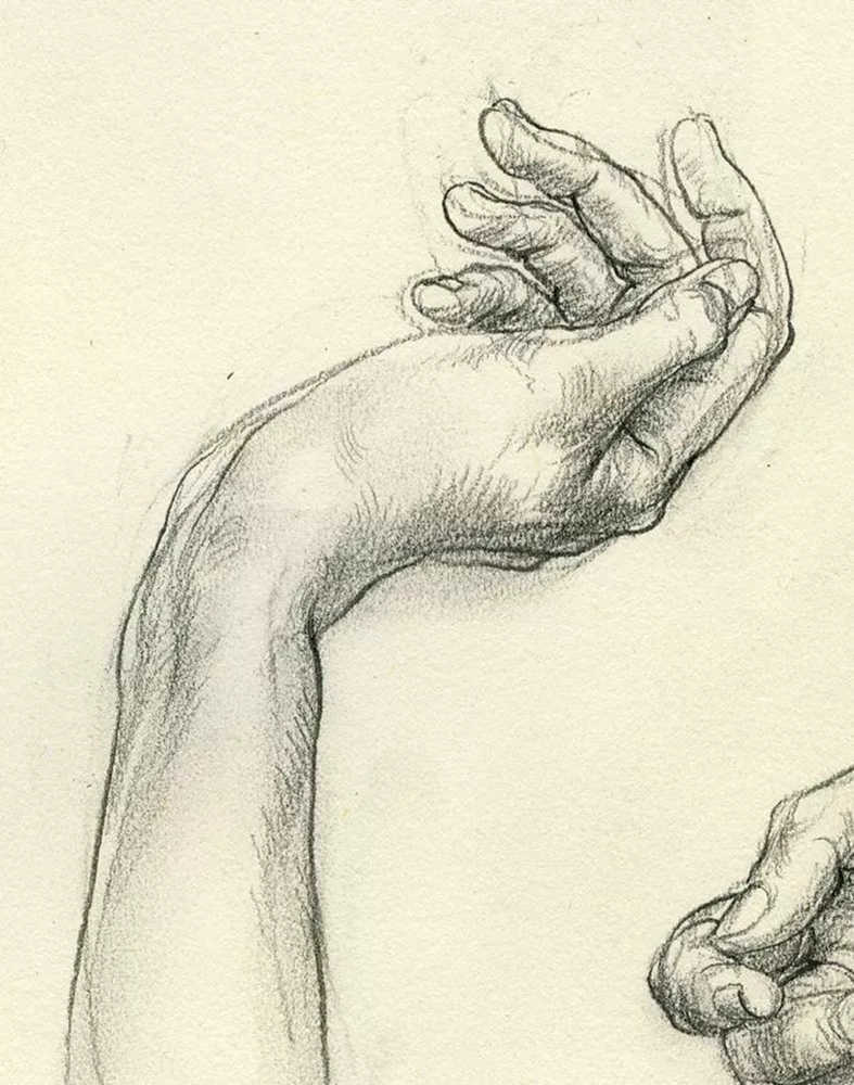 廣州畫室排名前五畫室給你整理了100幅手部刻畫作品拿去臨摹,28