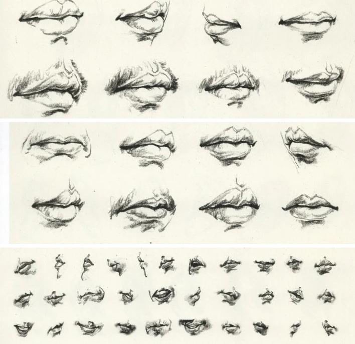 廣州前十畫室超強干貨丨速寫局部之眼耳鼻嘴的刻畫,08