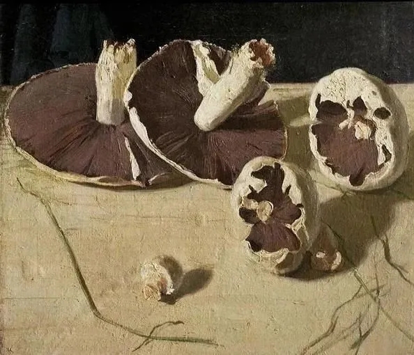 廣州美術高考畫室帶你開開眼,看看國外八大美院學生作品有多高級,70