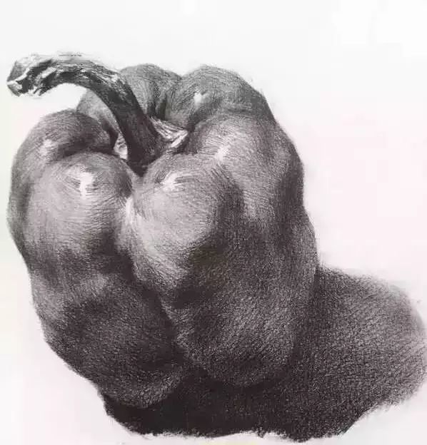 廣州美術高考班告訴你吃透這7類素描靜物質感,聯考不用怕了,12