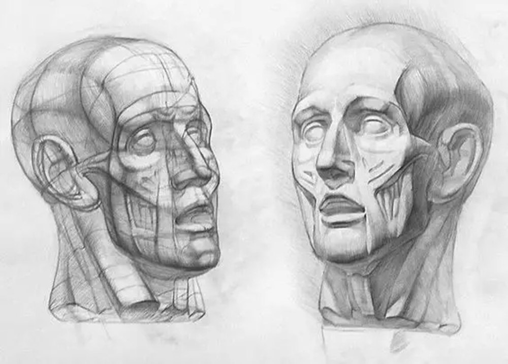 廣州畫室排名前十畫室給你一組適合零基礎臨摹的素描教程,43