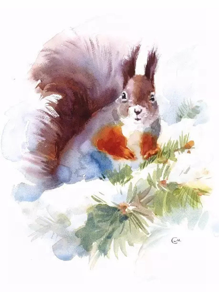 超實用水彩小知識,廣州前十畫室覺得你回想知道,31