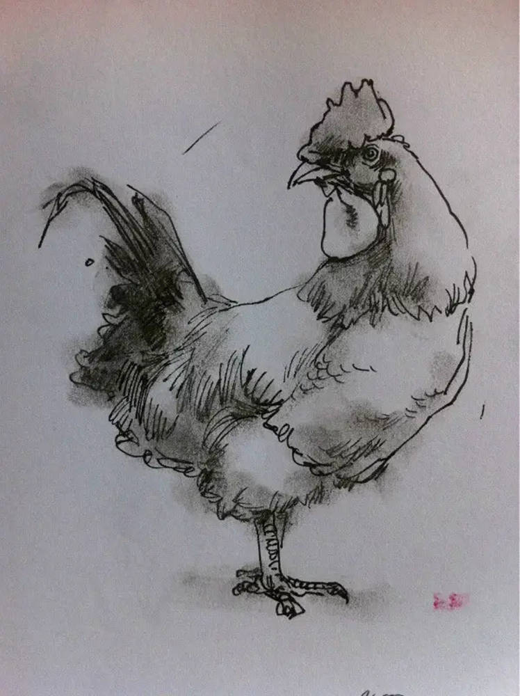 如果你正在學習線描速寫，廣州藝考畫室覺得這52幅作品正合適你,25