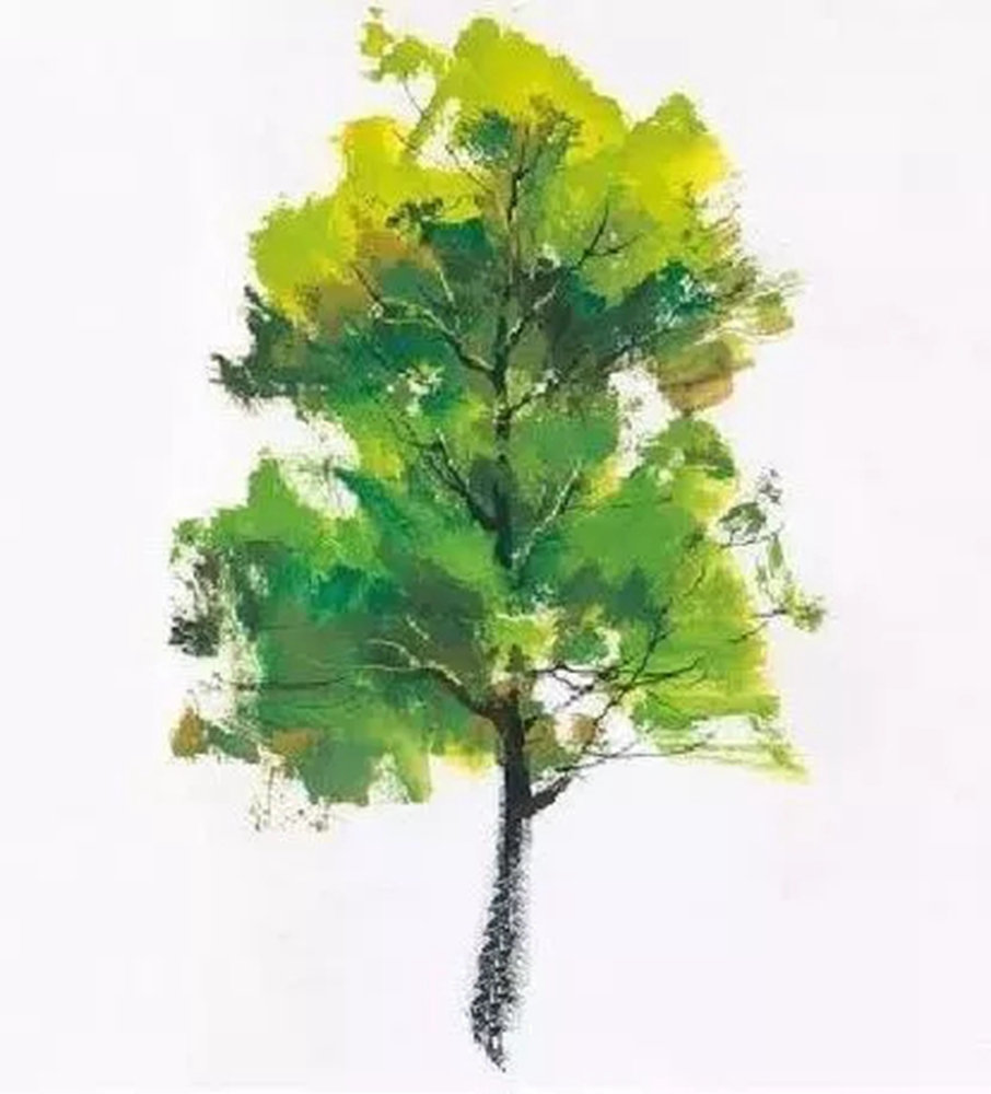 廣州畫室.廣州色彩培訓畫室,廣州色彩畫室,36