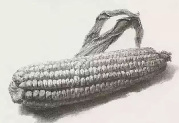 廣州美術高考班告訴你吃透這7類素描靜物質感,聯考不用怕了,09