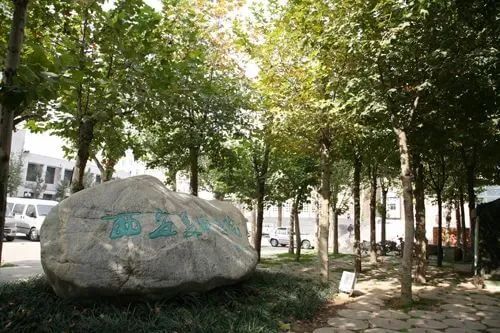 在九大美院上學(xué)是一種什么體驗?來看看他們怎么說!圖十二