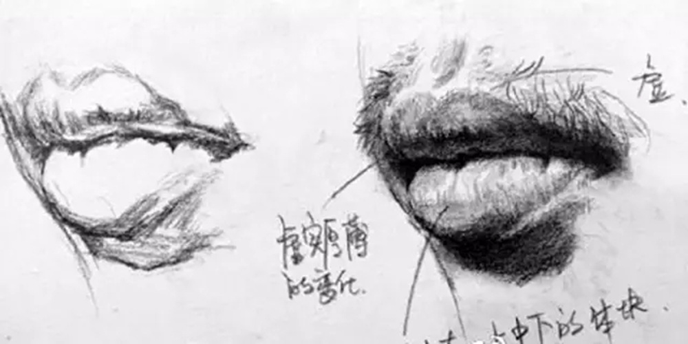 廣州藝考畫室,廣州素描畫室,廣州畫室素描培訓,51